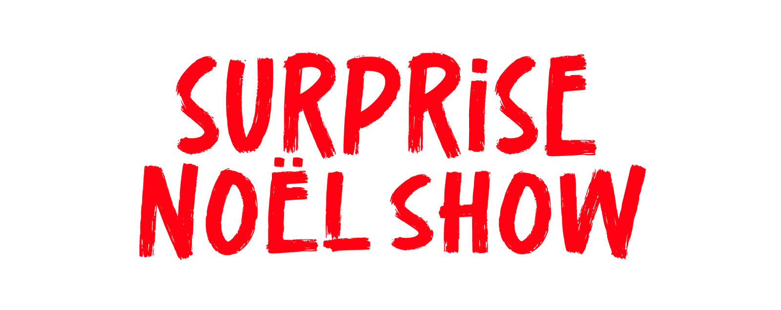 Surprise-noel-show-2025